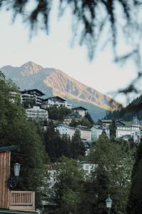 a town on a hill with a mountain in the background at Appartement Promenadenhirsch in Bad Gastein