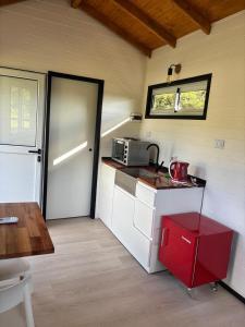 a small kitchen with a counter and a microwave at TiniHouse AguadePiedra in Villa Giardino