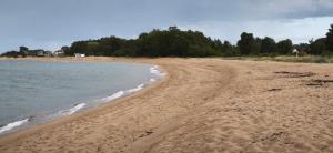 a sandy beach with water and trees in the background at Villa María - Charming 40 m2 lower level suite with private entrance in Simrishamn