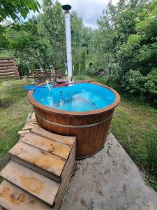 a hot tub with a fountain in a yard at Cabana Drumetului Borzesti in Borzeşti