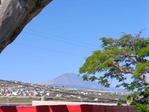 a view of a mountain from a tree at Guayaba Hostel in Las Lagunas