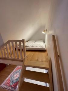 ein kleines Zimmer mit einem Etagenbett und einer Leiter in der Unterkunft Mazunte in Sulzbach-Rosenberg