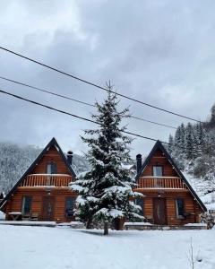 a log cabin with a christmas tree in the snow at Bujtina n'kullë in Boge