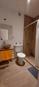 a bathroom with a toilet and a shower and a sink at Alquiler cintia in Gualeguaychú +9 photos