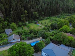 an aerial view of a house with a swimming pool at Serenity Likani Villa Hotel in Borjomi