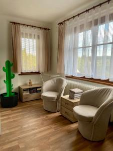 a living room with two chairs and two windows at Vila Anička in Týnec nad Sázavou +52 photos