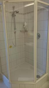 La salle de bains est pourvue d'une douche avec une porte en verre. dans l'établissement Hotel und Restaurant Rabennest am Schweriner See, à Raben Steinfeld