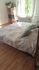 a bed in a bedroom with a wooden floor at Apartmán Růžovka in Jaroměř