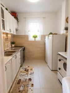 a kitchen with a sink and a refrigerator at Bgd apartman in Kavač +13 photos