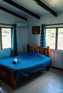 a bedroom with a bed with blue sheets and windows at Tovuka House Scuba too in Rakiraki
