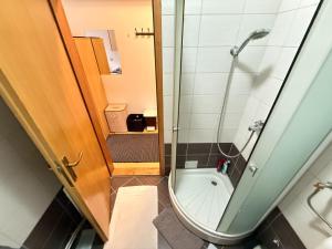 a small bathroom with a toilet and a shower at Apartman Natural Vlašić in Šišava