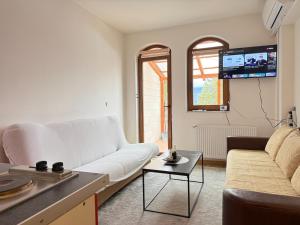 a living room with a white couch and a tv at Apartman Natural Vlašić in Šišava