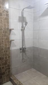a shower with a shower head in a bathroom at Villa Maiseli in Ambrolauri