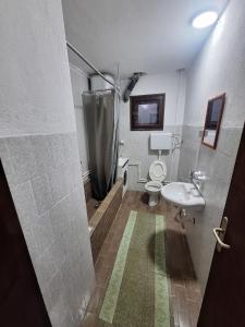 a bathroom with a shower and a toilet and a sink at Radnicki smestaj in Prilike