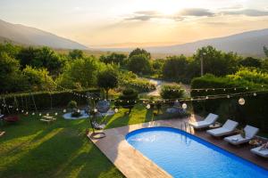 an aerial view of a garden with a swimming pool at Villa Manevi in Yavornitsa