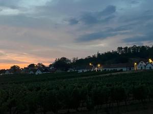 a vineyard at sunset with houses and a field at Gästehaus JaWo in Neuruppersdorf