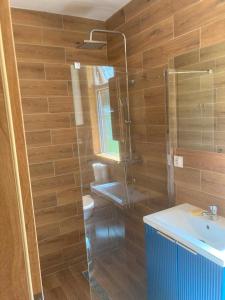 a bathroom with a sink and a glass shower at Dolina Nataci in Nidzica