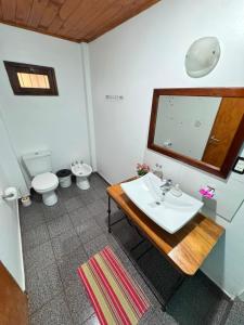 a bathroom with a sink and a toilet at LA SELVA MONOAMBIENTES in Puerto Iguazú