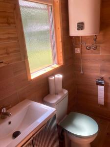 a bathroom with a toilet and a sink and a window at Dolina Nataci in Nidzica +3 photos