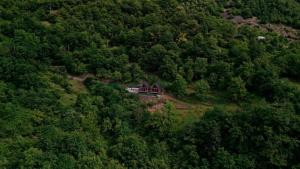 a house on a hill in the middle of a forest at Kesane Cottages in Racha in Oni