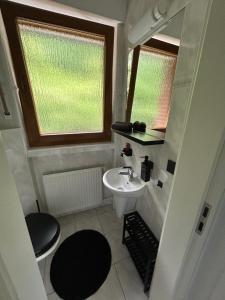 a small bathroom with a sink and a window at Haus am Skywalk 3L in Beverungen +18 photos