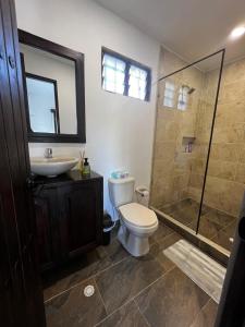 a bathroom with a toilet and a sink and a shower at Casa Carmentea Villa Privada in Acacías +12 photos
