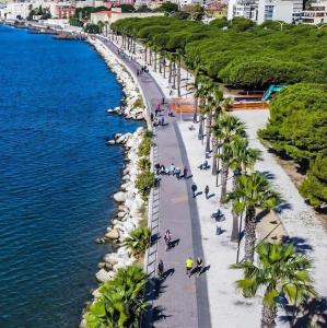 an aerial view of a beach with palm trees and the ocean at Lungomare Casa Diaz in Cagliari