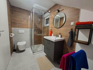 a bathroom with a shower and a sink and a toilet at Casa Kapela in Donji Koncovčak +20 photos