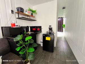 a small kitchen with a plant in a room at Tucan container in Fortuna