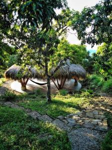 a resort with two straw huts and a tree at Cultivarte in Anapoima +19 photos