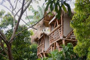 a tree house in the jungle at Cultivarte in Anapoima