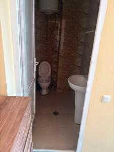 a small bathroom with a toilet and a sink at Mziuri Guest House in Ureki +36 photos