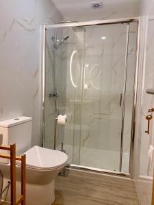 ein Badezimmer mit Dusche und Toilette in der Unterkunft Recanto do Cávado in Barcelinhos