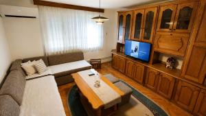 a living room with a couch and a tv at Apartman Čeliković centar Šamca, parking, balkon, WiFi in Bosanski Šamac