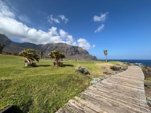 a wooden path leading to the ocean with palm trees at VV Vista a Teno in Buenavista del Norte