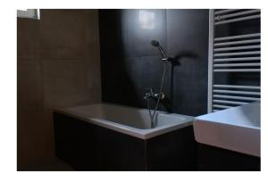 a bathroom with a bath tub with a shower at Apartman Sysl in Ricany +9 photos