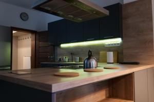 a kitchen with a counter with a tea kettle on it at Apartman Sysl in Ricany