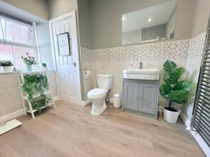 a bathroom with a toilet and a sink and a mirror at The Oaks Cottage in Penrith +28 photos
