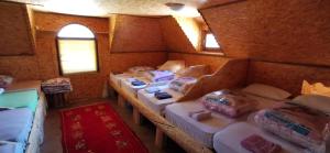 a room with a bunch of beds in it at Pinetrees Lodge Hostel in Nadgrad
