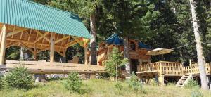 a log cabin with a green roof and a deck at Pinetrees Lodge Hostel in Nadgrad