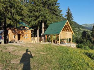 a shadow of a person standing in front of a cabin at Pinetrees Lodge Hostel in Nadgrad