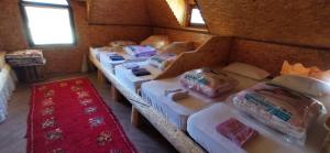 a room with a bunch of beds in it at Pinetrees Lodge Hostel in Nadgrad
