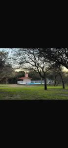 a tree in a field with a building in the background at Cabañas Paz in Carpintería +2 photos