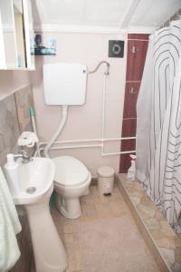 a bathroom with a white toilet and a sink at Rečni Povetarac in Niš