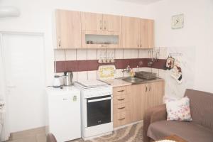 a small kitchen with a stove and a sink at Rečni Povetarac in Niš