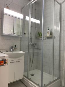 ein Badezimmer mit Dusche und Waschbecken in der Unterkunft Mon Koti in Turku + 12 Fotos