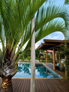 a palm tree in front of a swimming pool at Recanto da Cuesta in Botucatu