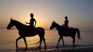 two people riding horses on the beach at sunset at Civico 31 in Terralba
