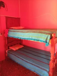two bunk beds in a room with pink walls at Maimara Hospedaje Sumalawa in Maimará