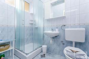 a bathroom with a shower and a toilet and a sink at Apartments Emmas studio in Stari Grad